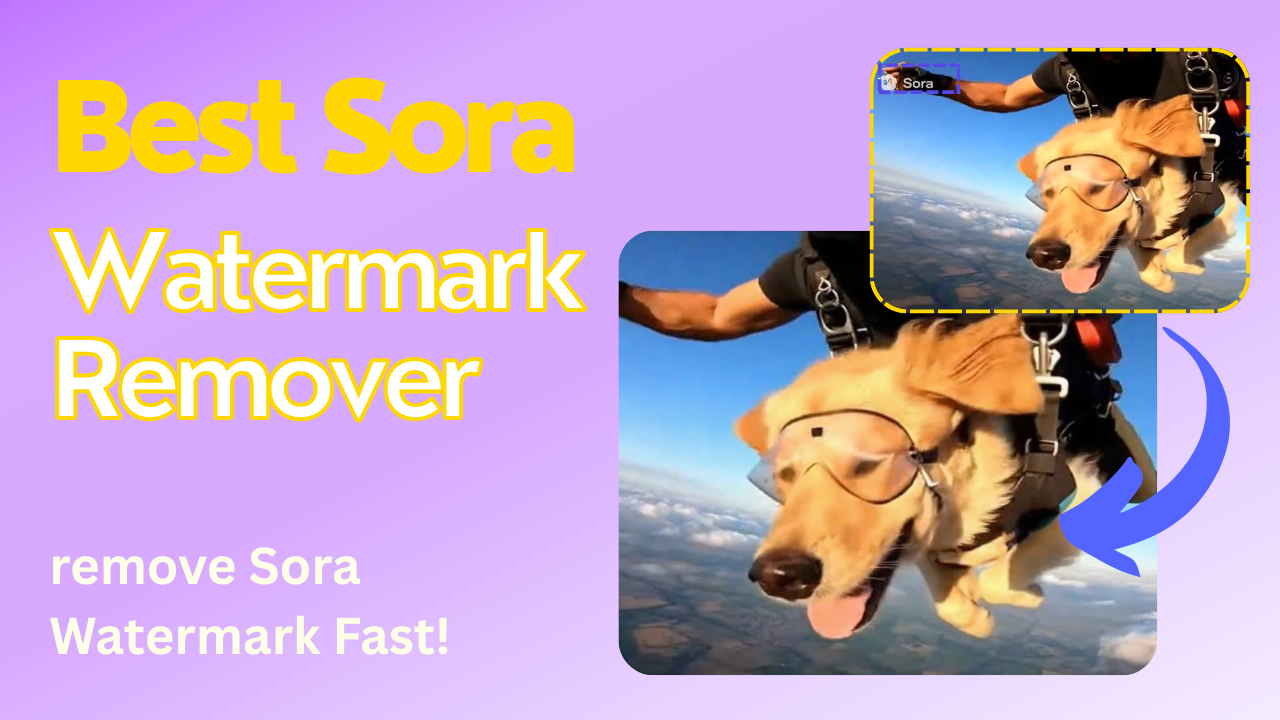 Best Sora Watermark Remover - How to remove Sora Watermark Fast